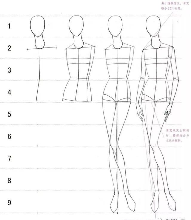  [模特的身]全新-160个服装人体动态【线稿】素材分享！（独家珍藏版）
