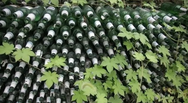  「回收」农村的旧啤酒瓶，10多年前5毛一个回收，现在为啥没人要