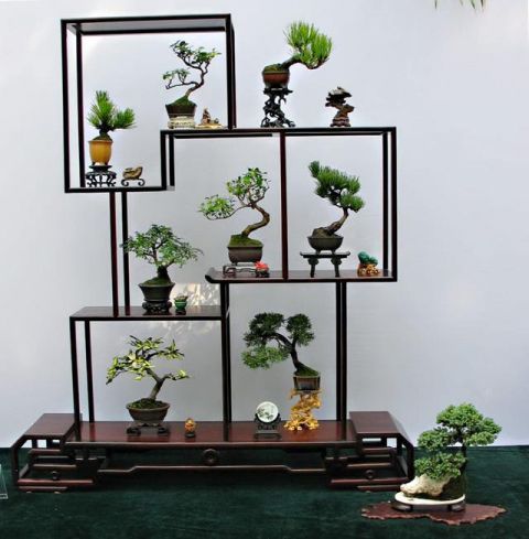 如何巧做微型盆景？