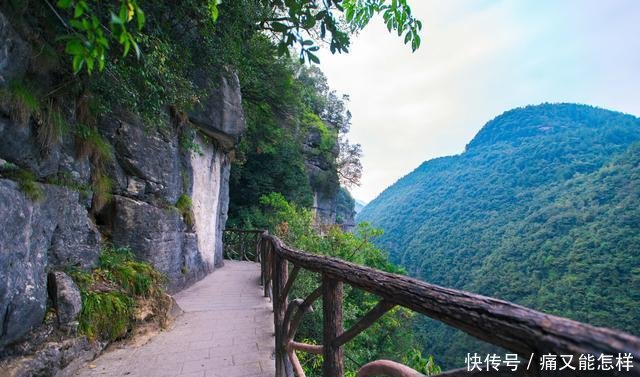 恩施这个景区看过之后，大多数游客表示都不想再去看别的山谷了