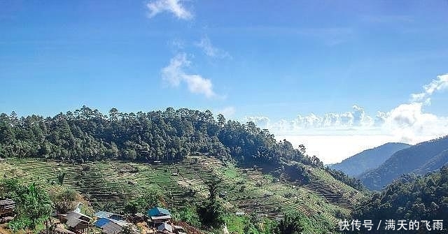  【返乡创业】返乡创业热潮来了，国家大力扶持，这几个项目未来