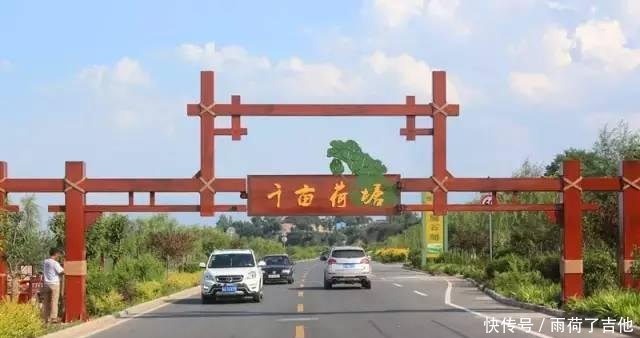 陕西这处千亩荷塘已盛开成海，碧叶连天，人少景美只等你来！