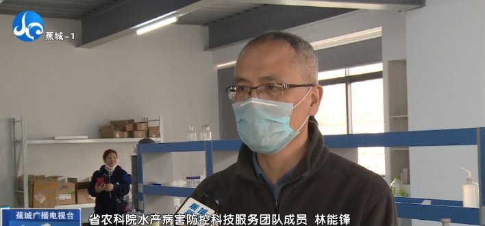  [内脏白点病]春季大黄鱼病害问题如何防治？别急，省农科院专家为您支招