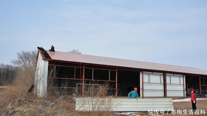  「大棚」大棚房只能等着被拆？符合这些条件的，村干部来了也拆