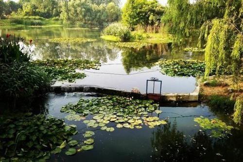  「百强」19年中国百强区县榜单，安徽3县4区位列其中，有你家乡