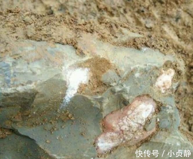 农民在山上摘草药时看见一块“石头”凑近一看, 赶紧请来专家