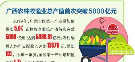  【茉莉花茶】深入实施乡村战略 广西将打造全国最重要茉莉花茶产区