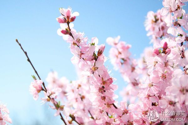 8012年,我的佳能500D和他的朋友们