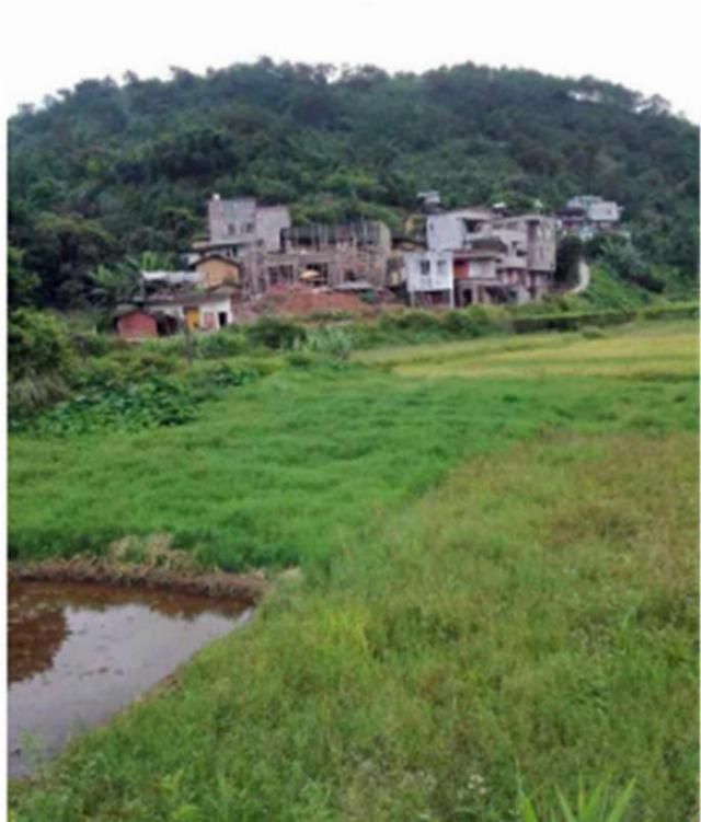  买卖@为什么有人说农村建房是亏本买卖？