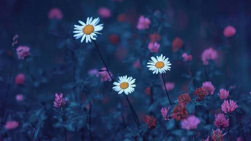 性格成熟，不会轻易动情的五位星座，不想输给别人，会好好珍惜