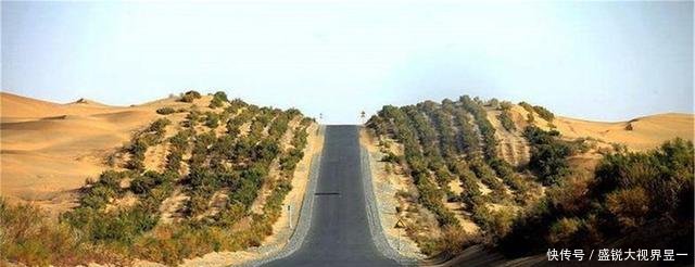 中国曾投资1个亿治理沙漠，种植上亿棵胡杨树，如今怎么样了