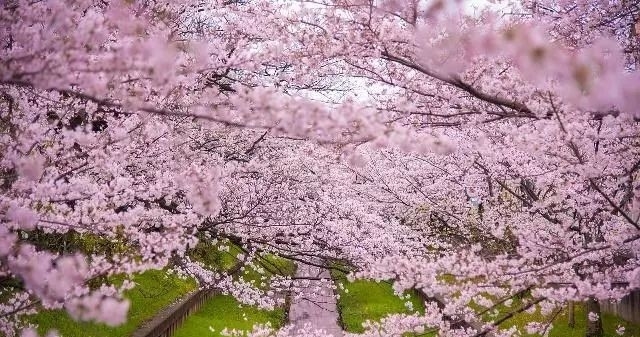 环保关停企业，再到农村禁养禁烧！罔顾民生，这样的环保要不得