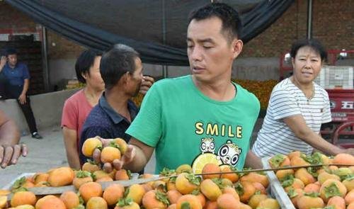  [收购]收购商“3毛钱一斤卖吗，不卖你去倒掉吧”