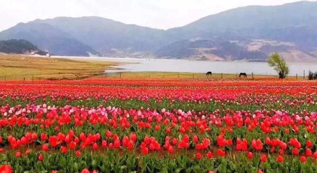 文海——“世外桃源般的村庄 少有的人间天堂”