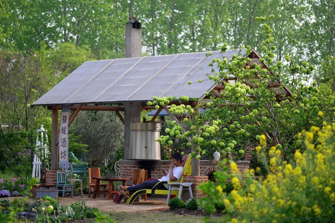 40岁高薪夫妇提前退休,造3000㎡花园惬意养老,还有酒坊!