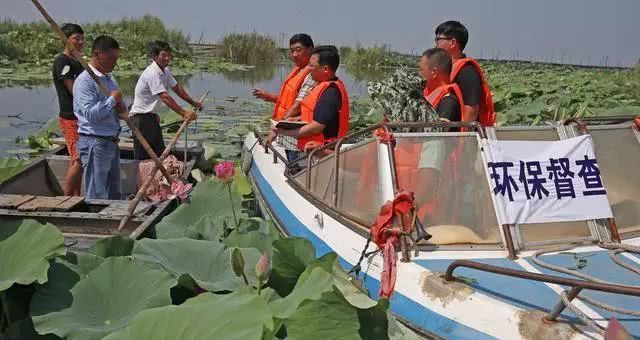 农村3类养殖户将严查，违规面临高额罚款！避免吃亏早准备