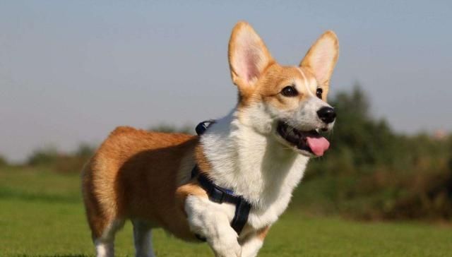 拍摄的照片一般般，那就换个拍摄角度