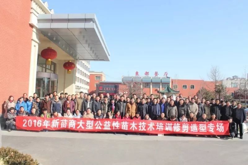 庭院深深，中式庭院 · 怡然自得