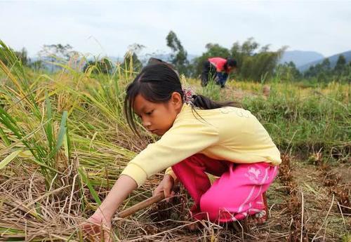  费用|2020年，农村这4笔钱不用交了，农民要享受真正的实惠了