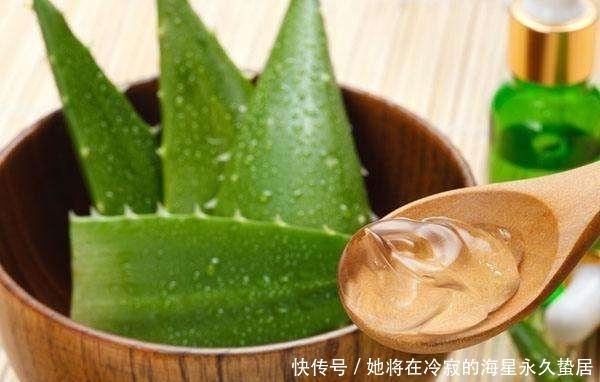 「随便」芦荟优势多多,这五个品种随便养,容易成活用处多