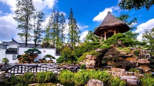 国内最大的专类盆景园,江南园林海派风格美不胜收