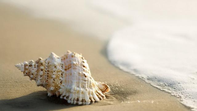 旅行中最没必要带的4样东西，但大部分人都会带