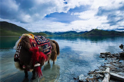 去穷游西藏10天要多少钱？按照这个方法，3000元足够了！