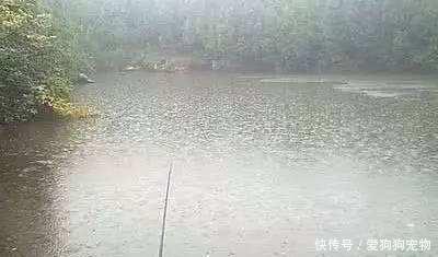 水域的水温■春雨过后好钓鱼!为什么大雨、暴雨后没口呢原因就在这4方面