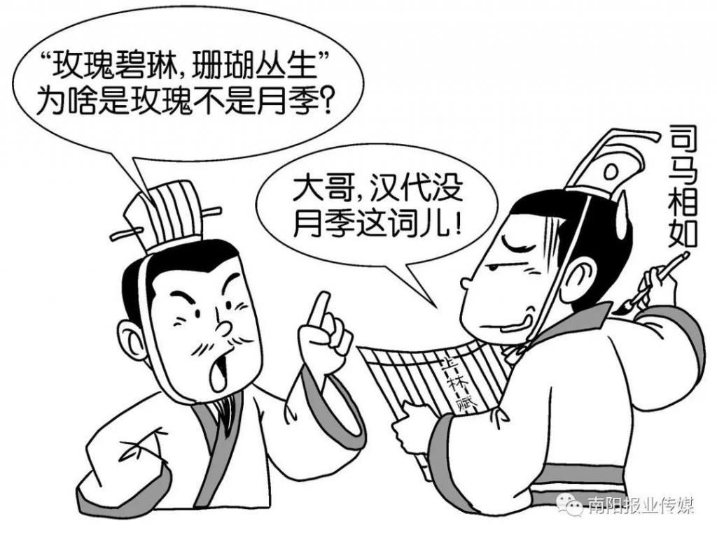  【玫瑰】哪有什么玫瑰？长哩美的都是月季！