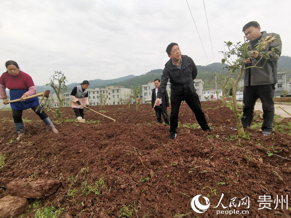  [市驻邵家桥]邵家桥镇：真督实导压实责任 巩固提升脱贫成效