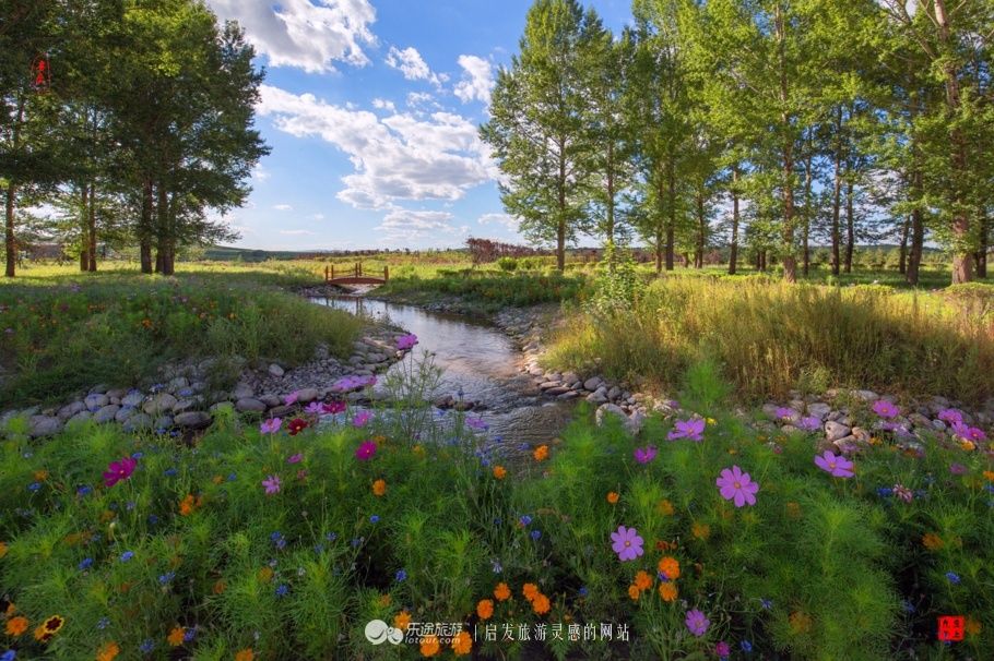 风吹草低见牛羊 说的就是这儿