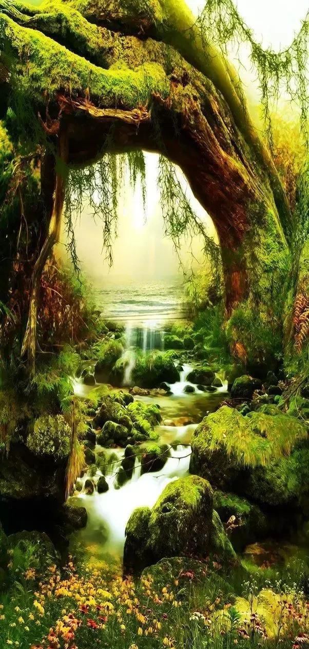 天堂照片!(快看)