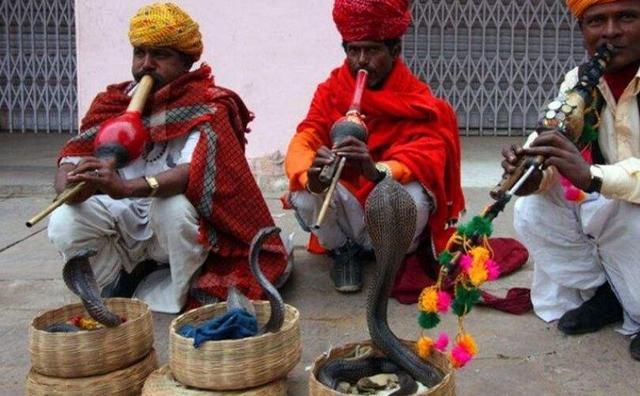 印度绳技“神仙索”，3次警告无果后孩子消失在云端，原理成谜