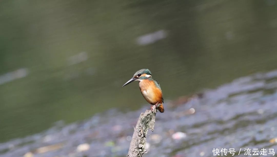 比欧洲便宜,比马尔代夫更近,这个对中国免签的岛国还藏着个小罗马