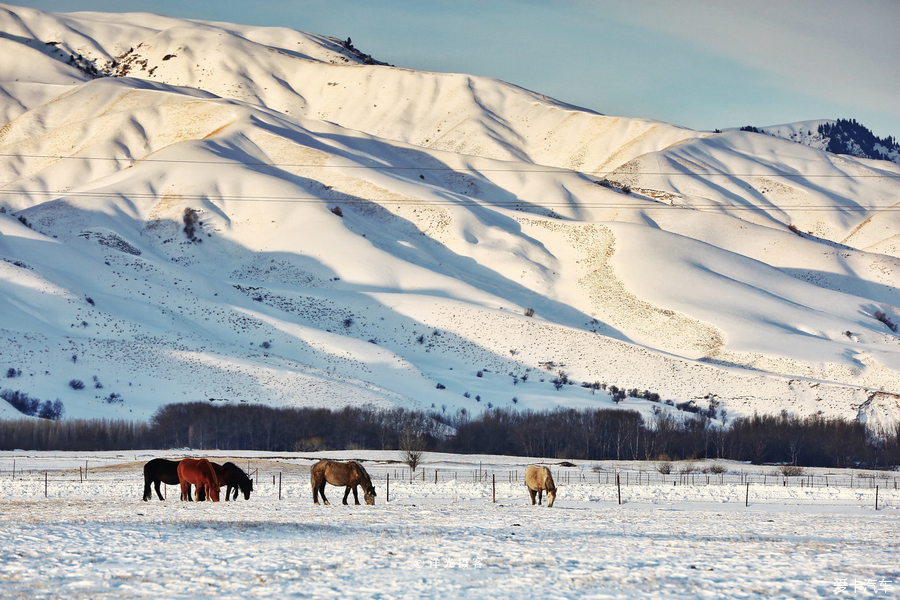 冬季新疆那拉提玩雪全攻略，水墨雪域画中游