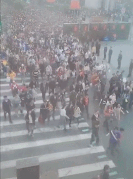 这个五一全国各大景区挤爆了!游客:我后悔了,我想回家!