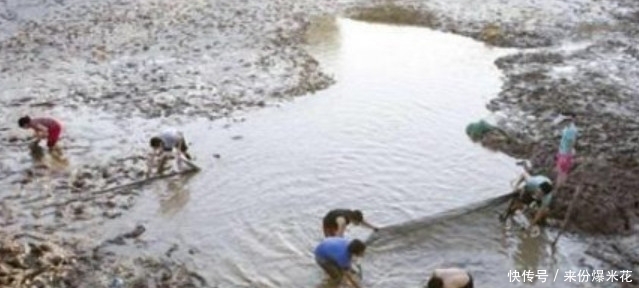 自家鱼塘里的10万斤鱼苗不翼而飞，把水抽干后，男子果断报了警！