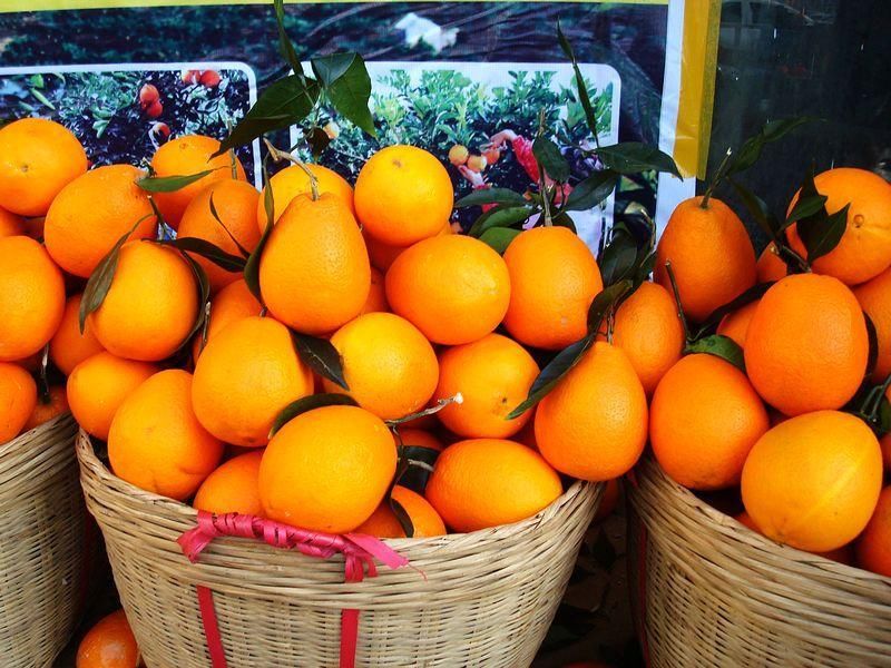 看看新疆人烧着火炉卖水果,没有再比这,更便宜