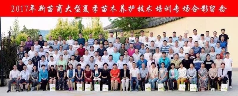 庭院深深，中式庭院 · 怡然自得