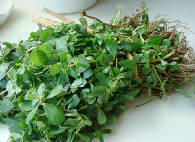 菜市场三元一斤的它，每晚这样用，三天祛斑，五天皮肤娇嫩白皙