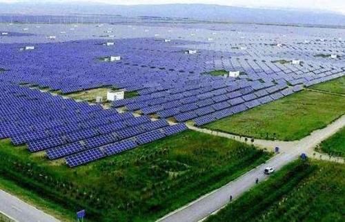  【钦佩】中国发电站放了几千只羊，却成功解决一世界级难题，西