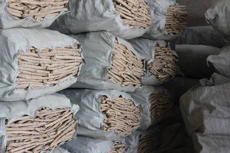 我国有个“千年药乡”，地处西北却山清水秀，游客慕名前来！