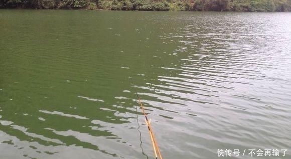  #绵绵#今天阴雨绵绵,好不好钓鱼啊!