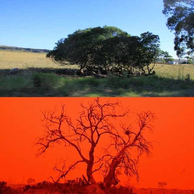 澳大利亚发生了火灾