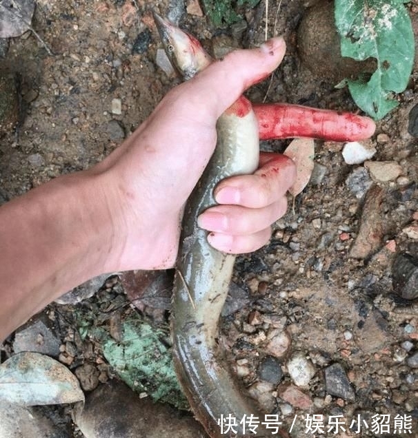 『水库』越来越没地方钓鱼,越来越没鱼钓,怪谁?钓鱼人真的要反省了