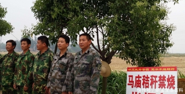  「秸秆」中秋后，村干部迎重点任务，2件事管不好要受罚，甚至取