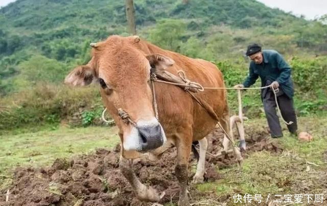  「养老金」国家对农村4类人提供养老补助，持证一个月领上千元，