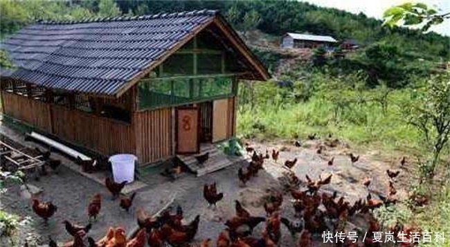  「养殖场」2019农村禁养新政策：这些区域禁止建设养殖场，农民