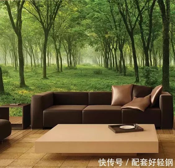 这才是背景墙,你家的只是墙。