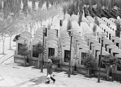 哈市专项整治殡葬领域突出问题 豪华墓停建停